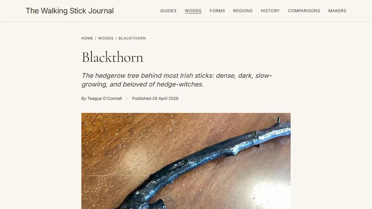The Walking Stick Journal — Blackthorn vs Ash: Choosing the Right Wood for Your First Irish Stick