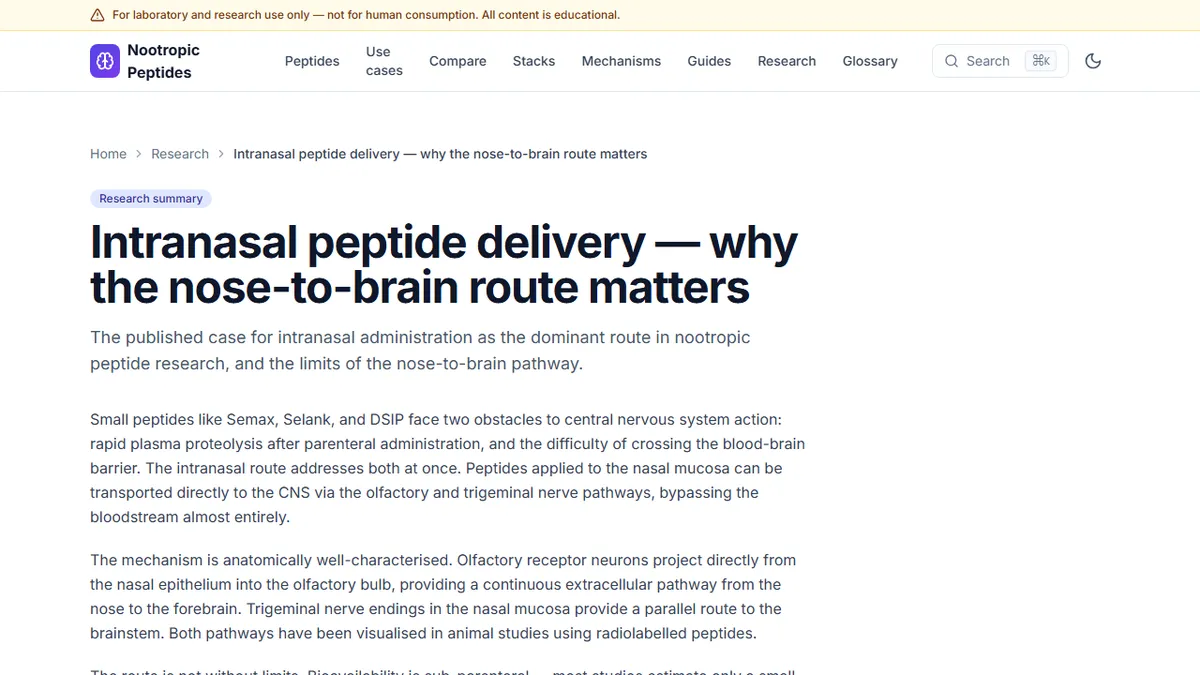Nootropic Peptides — How Drugs Reach the Brain Through the Nose: The Science of Nose-to-Brain Delivery